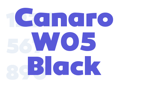 Canaro W05 Black Font Download