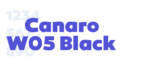 Canaro W05 Black-font-download