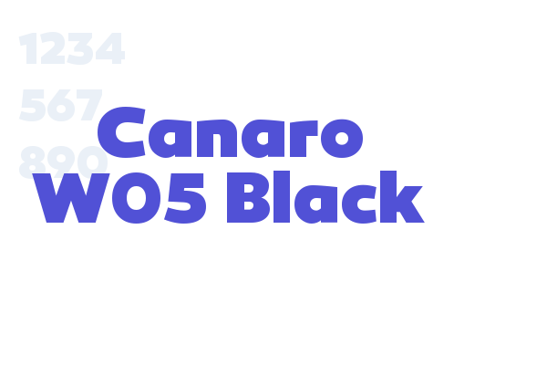 Canaro W05 Black