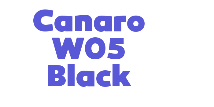 Canaro W05 Black Font