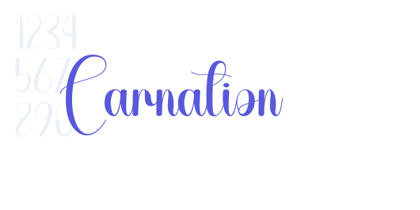 Carnation font free