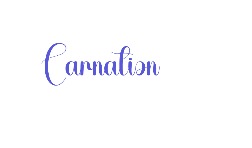 Carnation Font