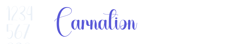 Carnation-related font