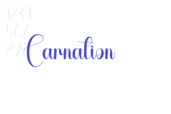 Carnation