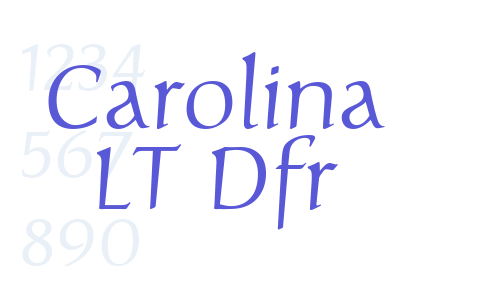 Carolina LT Dfr Font Download