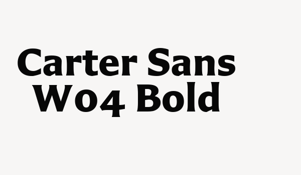 Carter Sans W04 Bold Font