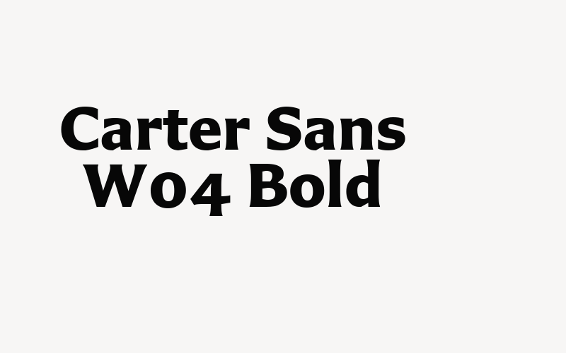 Carter Sans W04 Bold Font