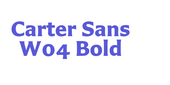 Carter Sans W04 Bold Font Download