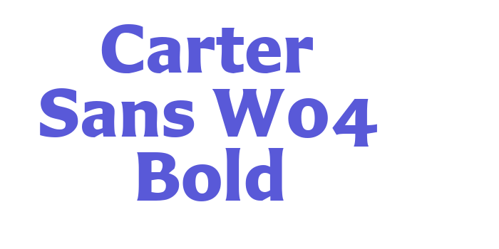 Carter Sans W04 Bold Font