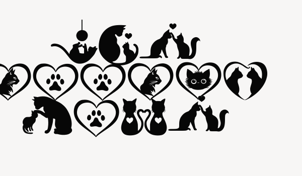 Cat Doodle Font Font