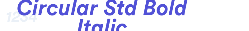 Circular Std Bold Italic-font