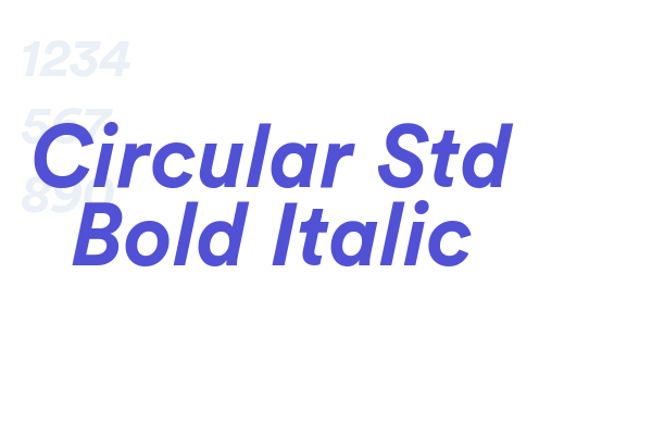 Circular Std Bold Italic