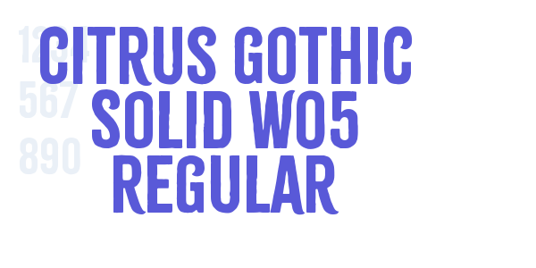 Citrus Gothic Solid W05 Regular font free