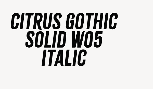 Citrus Gothic Solid W05 Italic Font