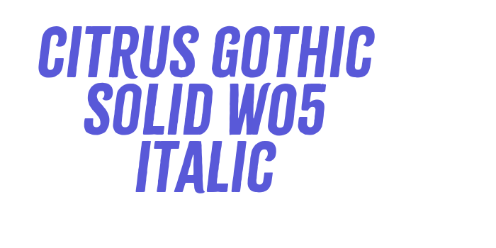 Citrus Gothic Solid W05 Italic Font Download