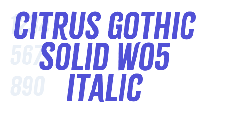 Citrus Gothic Solid W05 Italic-font-download