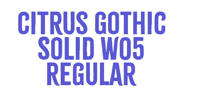 Citrus Gothic Solid W05 Regular Font Download