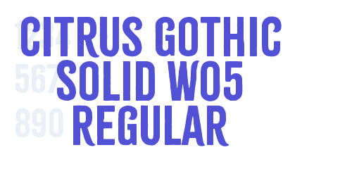 Citrus Gothic Solid W05 Regular-font-download