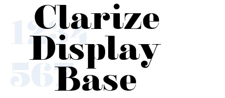 Clarize Display Base