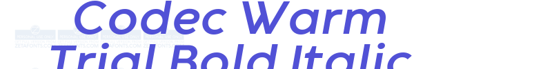 Codec Warm Trial Bold Italic-font