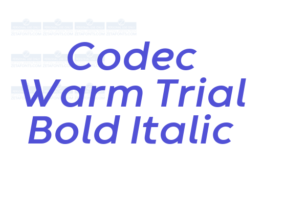 Codec Warm Trial Bold Italic