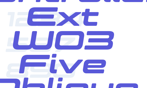 Controller Ext W03 Five Oblique Font