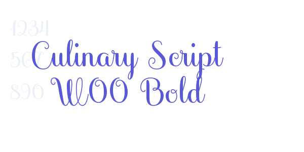 Culinary Script W00 Bold font free