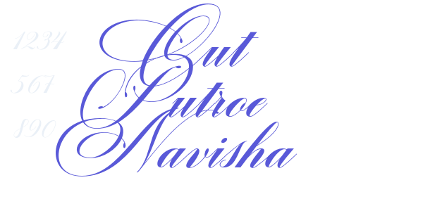 Cut Putroe Navisha font free