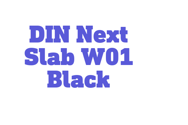 DIN Next Slab W01 Black Font