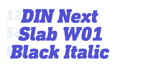 DIN Next Slab W01 Black Italic