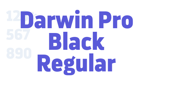 Darwin Pro Black Regular font