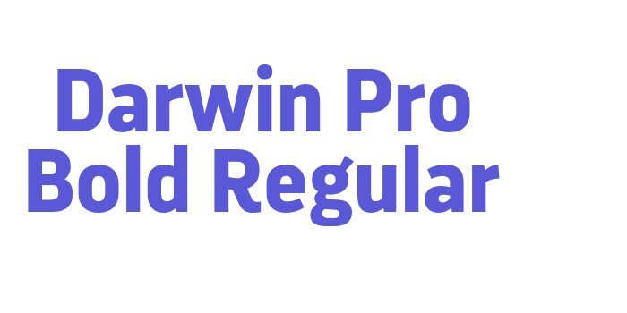 Darwin Pro Bold Regular Font