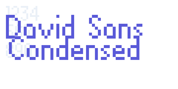 David Sans Condensed font