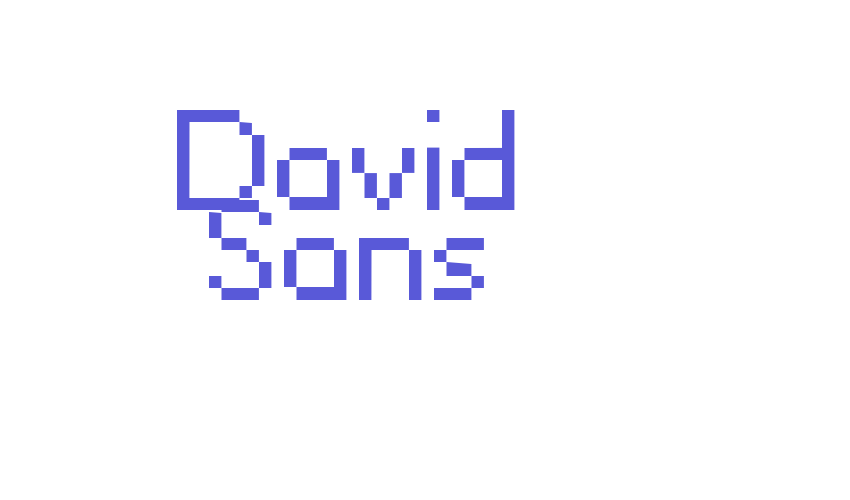 David Sans Font