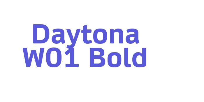 Daytona W01 Bold Font Download