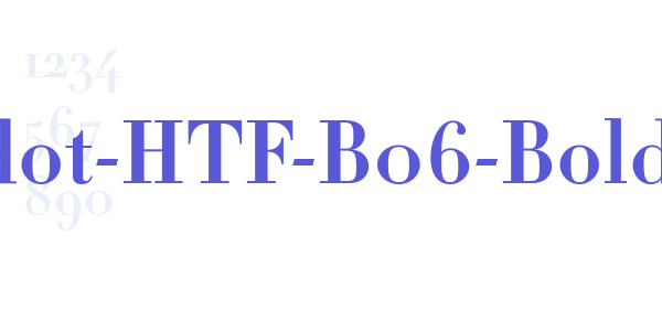 Didot-HTF-B06-Bold font free