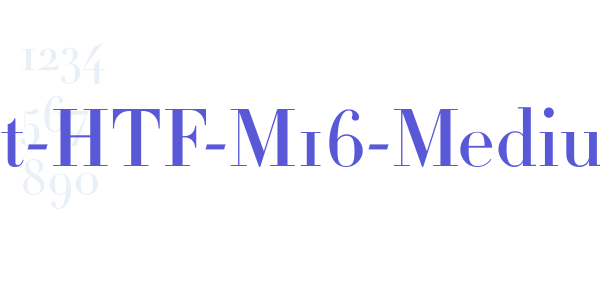 Didot-HTF-M16-Medium font free