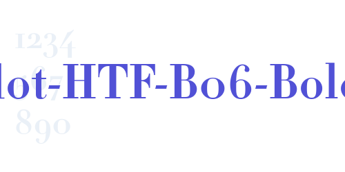 Didot-HTF-B06-Bold-font-download
