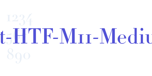 Didot-HTF-M11-Medium-font-download