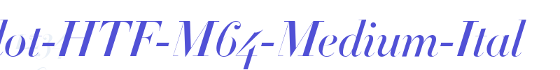 Didot-HTF-M64-Medium-Ital-font