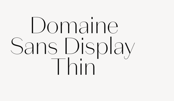 Domaine Sans Display Thin Font