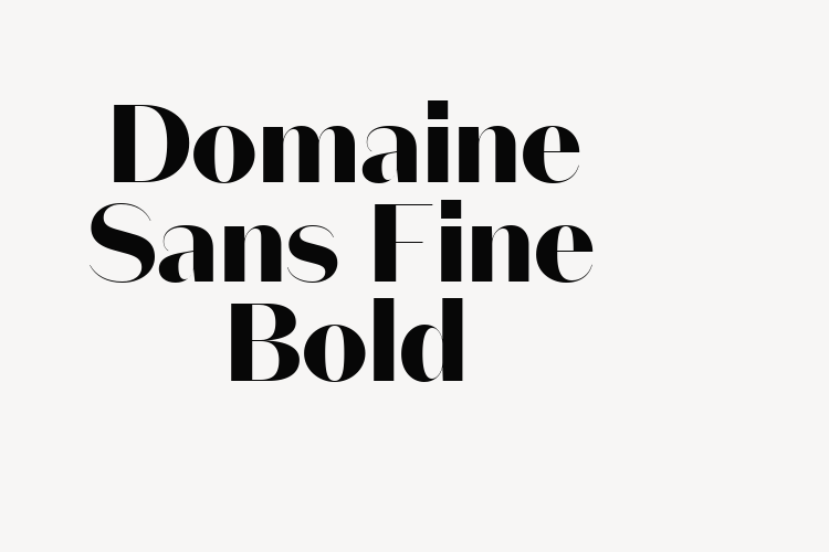 Domaine Sans Fine Bold font download