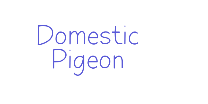 Domestic Pigeon Font Download