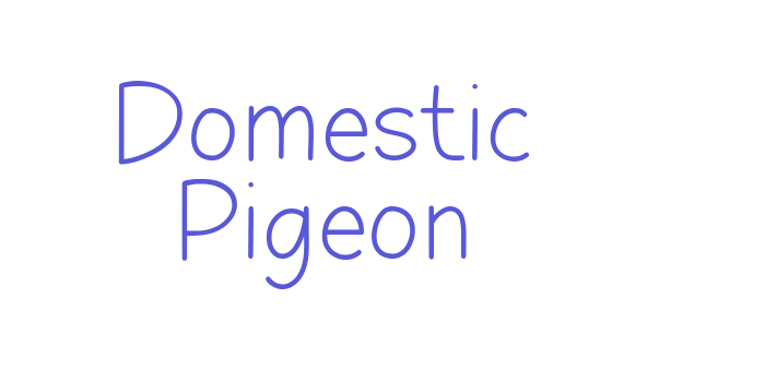 Domestic Pigeon Font