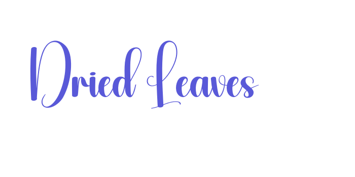 Dried Leaves Font