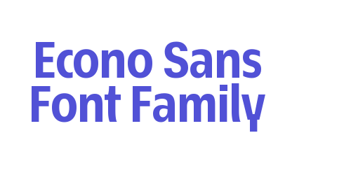 Econo Sans Font Family-font-download