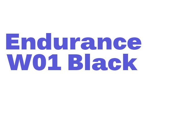 Endurance W01 Black Font