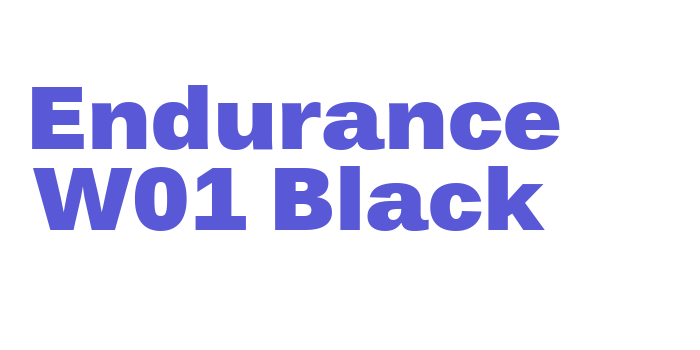 Endurance W01 Black Font Download