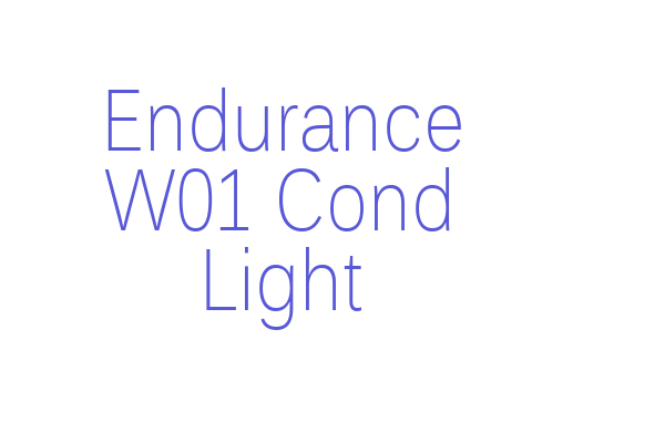 Endurance W01 Cond Light Font