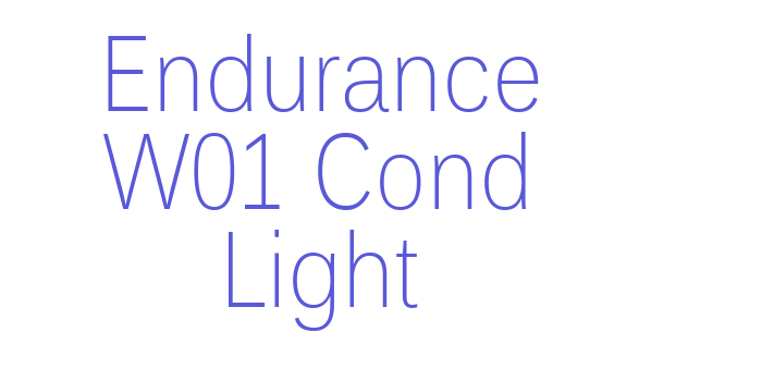 Endurance W01 Cond Light Font